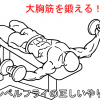 ダンベルフライで大胸筋を仕上げる！正しいやり方と注意すべき5つのポイント